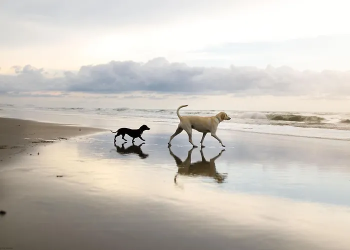 Daisy - Part Of The The Bay Village With Pool, Gym And Direct Access, Pub, Restaurant, Tennis And Meadows Walks Hébergement de vacances Filey