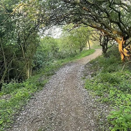 Daisy - Part Of The The Bay Village With Pool, Gym And Direct Access, Pub, Restaurant, Tennis And Meadows Walks Dom wakacyjny